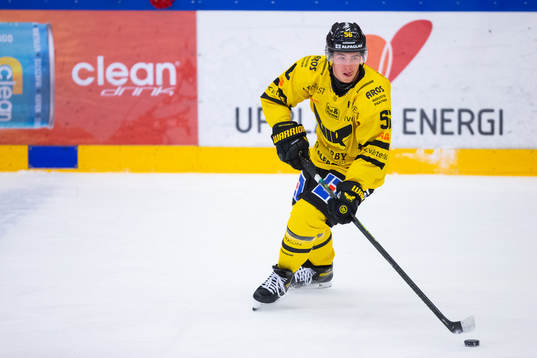 Västerås Alexander Lunsjö