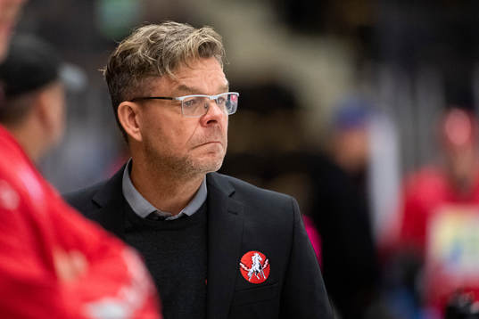 Vita Hästens assisterande tränare Niklas Czarnecki