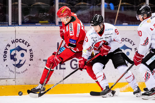 Bläddra bland fler bilder av Ishockey, Hockeyallsvenskan, Modo - Vita Hästen