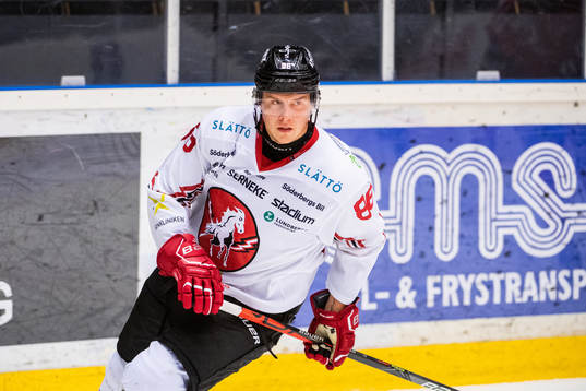 Vita Hästens David Åslin