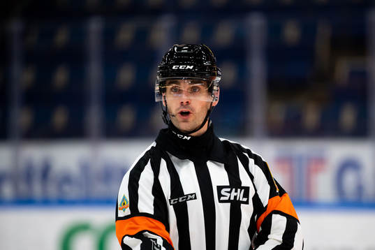 Domare Richard Magnusson