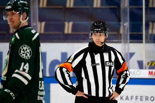 Domare Mikael Andersson