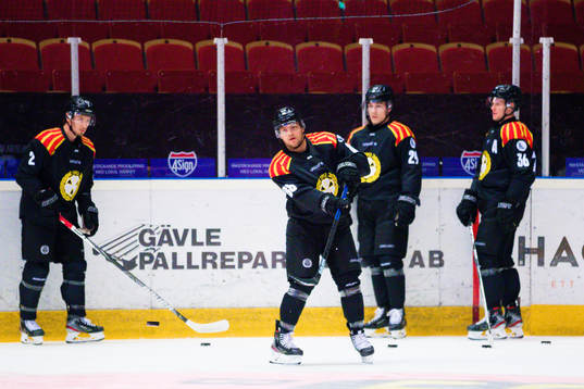 Brynäs spelare