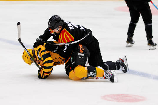 Skellefteås Jonatan Berggren och Brynäs Kristofer Berglund