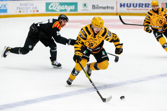Brynäs Adam Pettersson och Skellefteås Andreas Wingerli