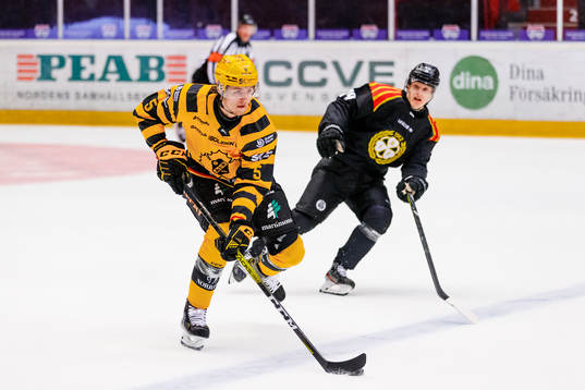 Skellefteås Philip Broberg och Brynäs Daniel Mannberg