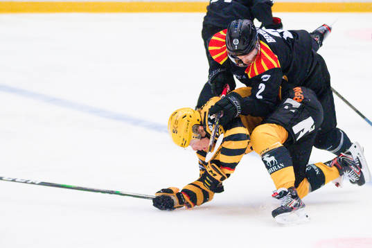 Skellefteås Jonatan Berggren och Brynäs Kristofer Berglund