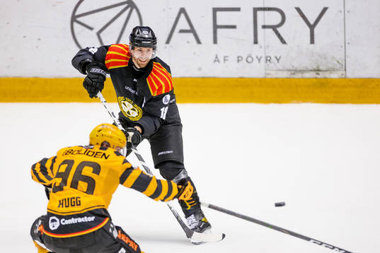 Brynäs Anton Rödin