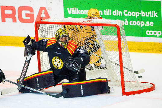 Brynäs målvakt Samuel Ersson