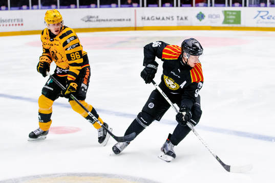 Skellefteås Rickard Hugg och Brynäs Linus Ölund