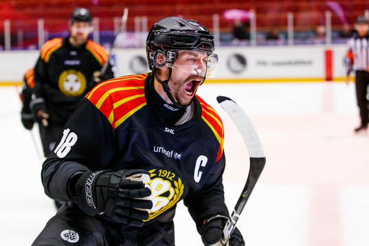 Bläddra bland fler bilder av Ishockey, SHL, Brynäs - Skellefteå