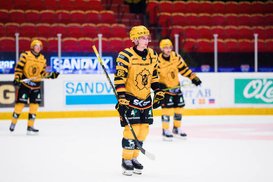 Skellefteås Tyler Morley deppar