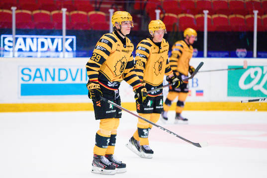Skellefteås Albin Sundsvik deppar
