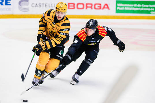Skellefteås Jonathan Johnson och Brynäs Linus Ölund