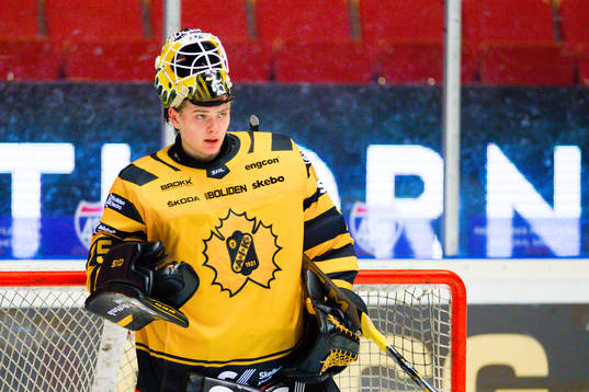 Skellefteås målvakt Arvid Söderblom deppar