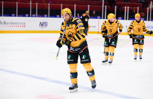 Skellefteås Arvid Lundberg deppar