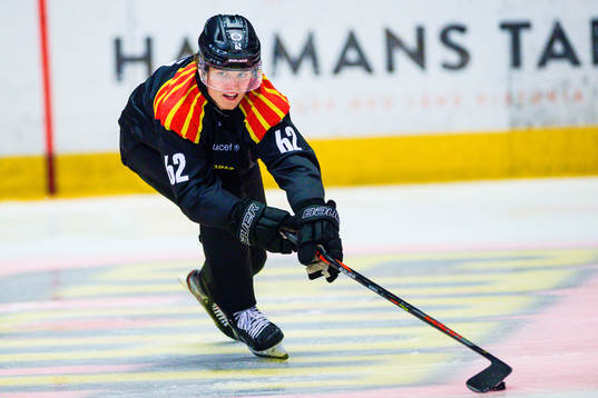 Brynäs Tom Hedberg