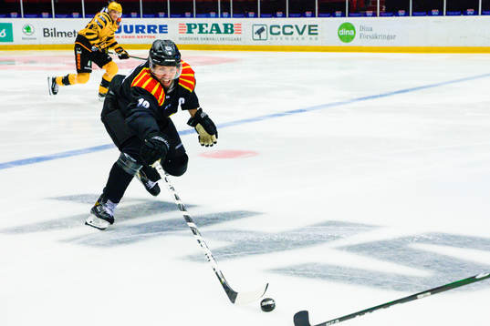 Brynäs Anton Rödin