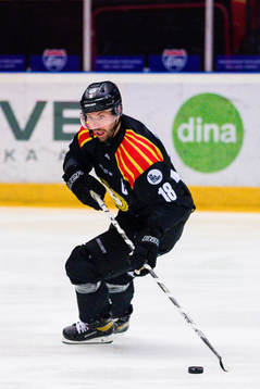 Brynäs Anton Rödin