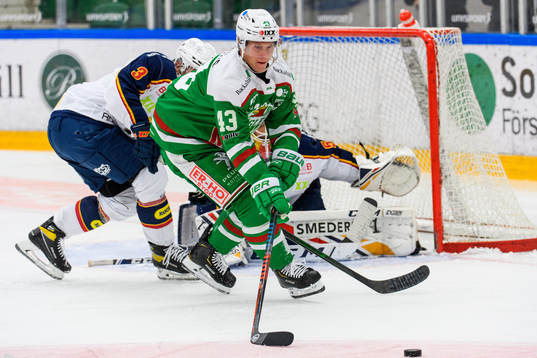 Rögles Olli Palola