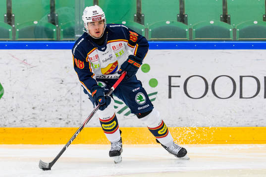 Djurgårdens Alexander Holtz