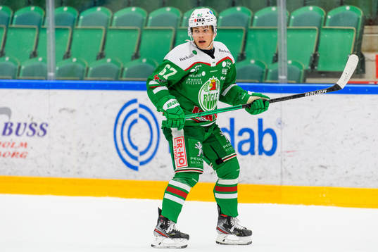 Rögles Leon Bristedt
