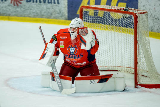 Hanhals målvakt Mathias Israelsson
