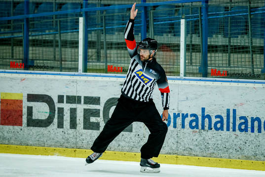 Domaren Rikard Ferngren