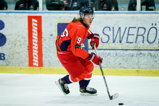 Hanhals Erik Hansson