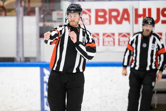 Domare Daniel Eriksson
