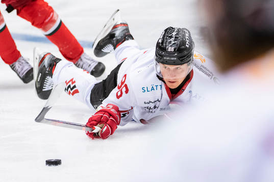 Vita Hästens David Åslin