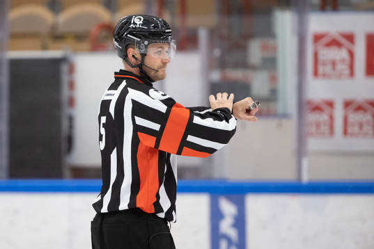 Domare Daniel Eriksson