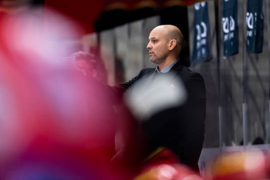 Vita Hästens tränare Tony Zabel