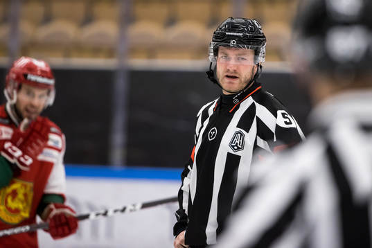 Domare Daniel Eriksson