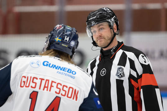 Domare Daniel Eriksson