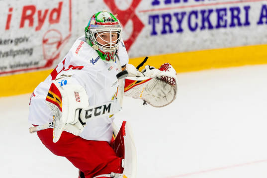 Bläddra bland fler bilder av Ishockey, Hockeyallsvenskan, Tingsryd - Almtuna