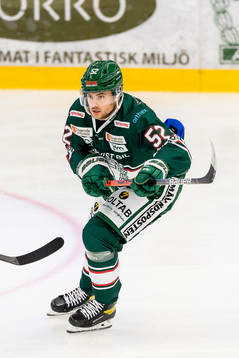 Tingsryds Ludvig Elvenes