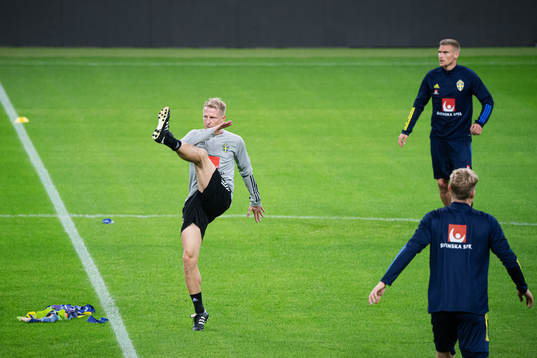 Physiotherapist Fredrik Larsson of the Swedish national