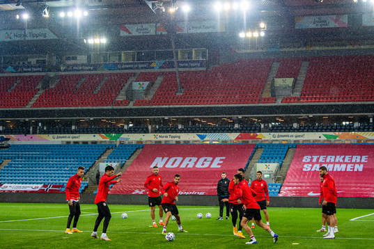 Luka Milivojević and players of the Serbian national