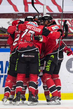Malmö Redhawks spelare jublar