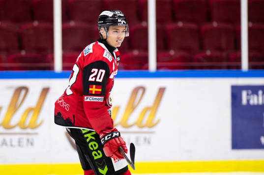 Malmö Redhawks Helge Grans