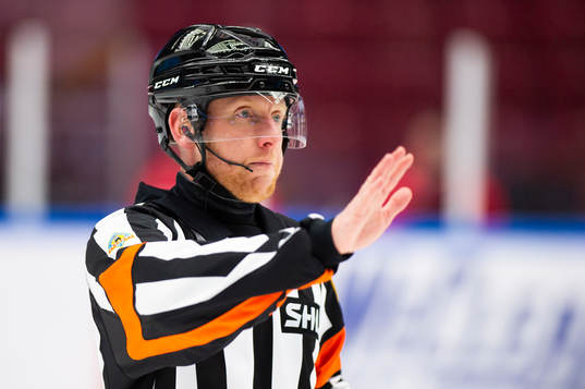 Domare Mikael Holm