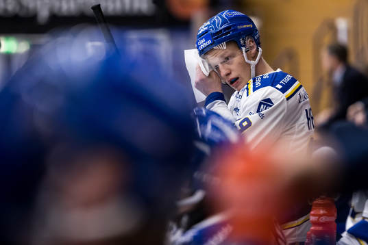 Leksands Emil Heineman