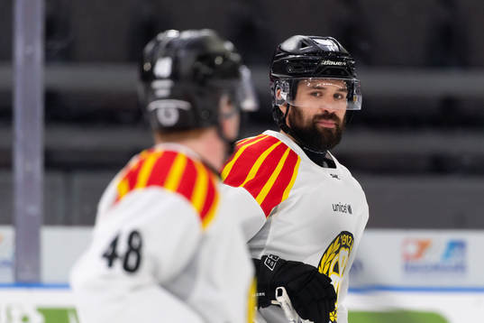 Brynäs Johan Alcén