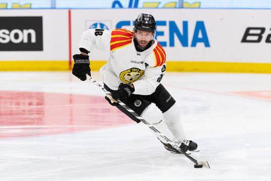 Brynäs Anton Rödin