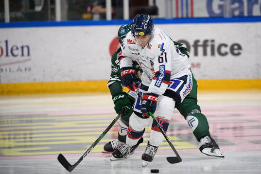 Linköpings Markus Ljungh