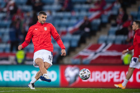 Stefan Mitrovic of Serbia