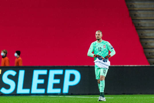 Goalkeeper Predrag Rajkovic of Serbia