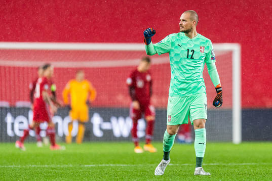 Goalkeeper Predrag Rajkovic of Serbia celebrates