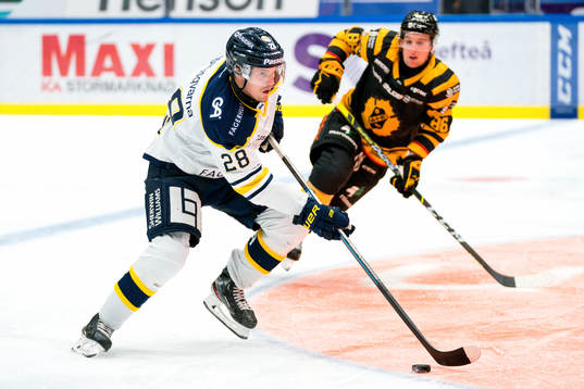 s Johannes Kinnvall och Skellefteås Tyler Morley